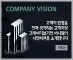 COMPANY VISION